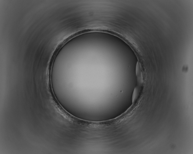 X0000091220840200708231629