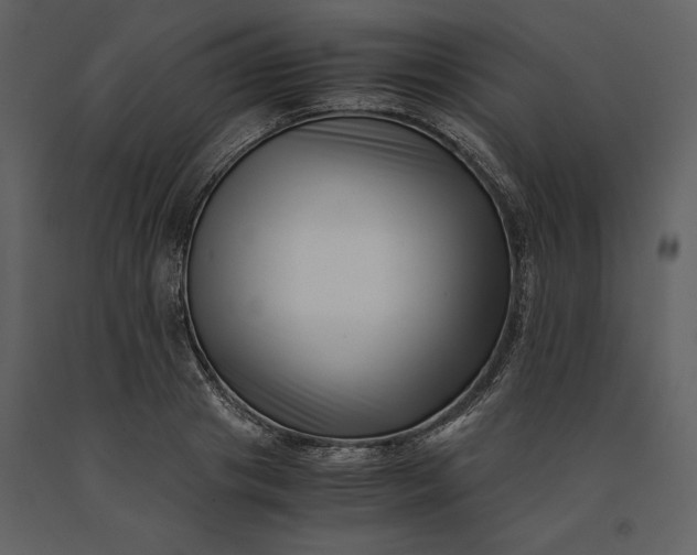 X0000091220841200708231629