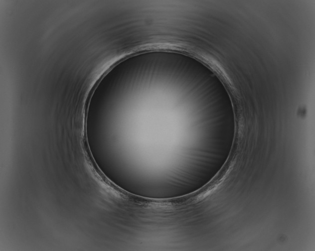 X0000091220844200708231629