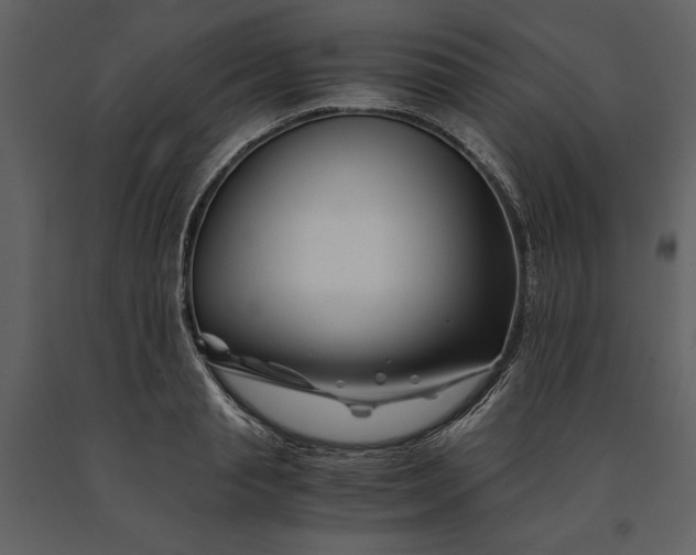 X0000091220845200708231629