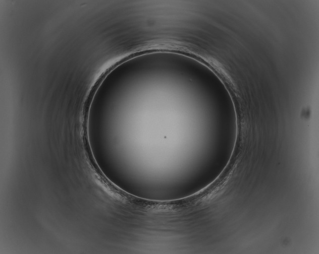 X0000091220846200708231629