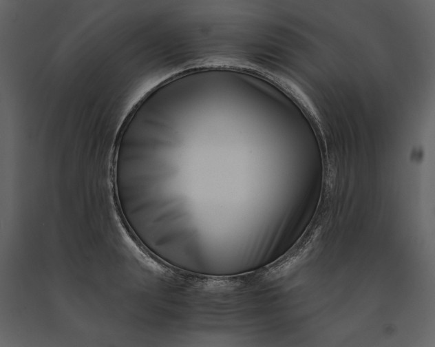 X0000091220847200708231629