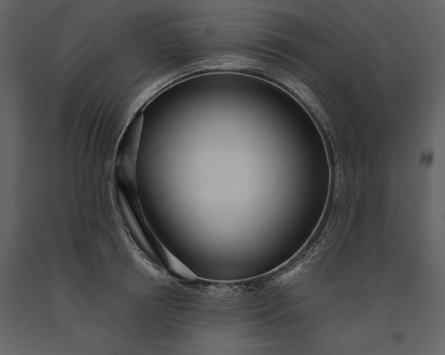 X0000091220850200708231629