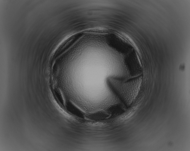 X0000091220851200708231629