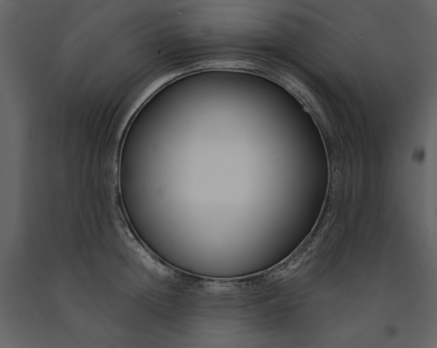 X0000091220852200708231629