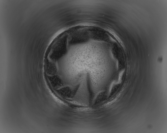 X0000091220853200708231629