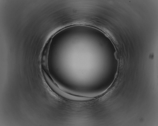 X0000091220854200708231629