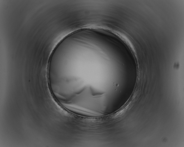 X0000091220855200708231629