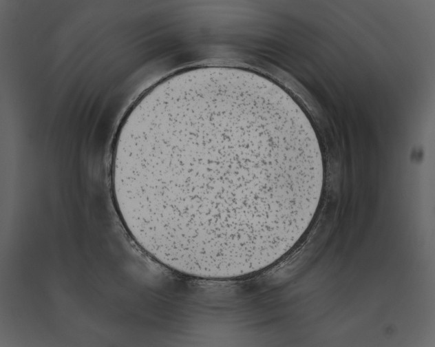 X0000091220856200708231629