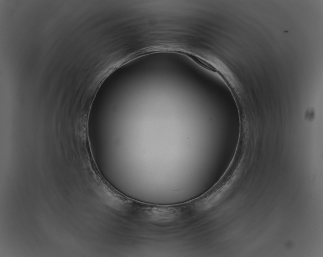 X0000091220857200708231629