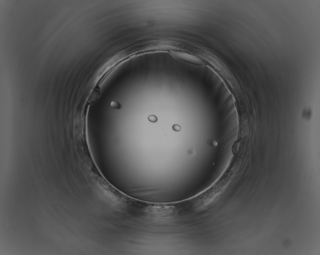 X0000091220858200708231629