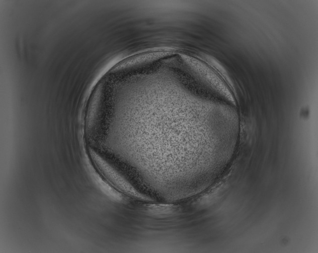 X0000091220859200708231629