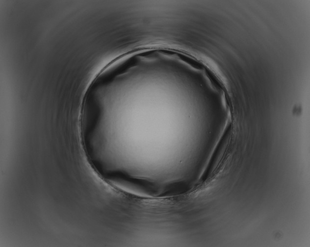 X0000091220863200708231629