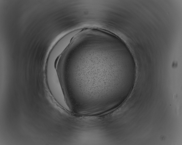 X0000091220864200708231629