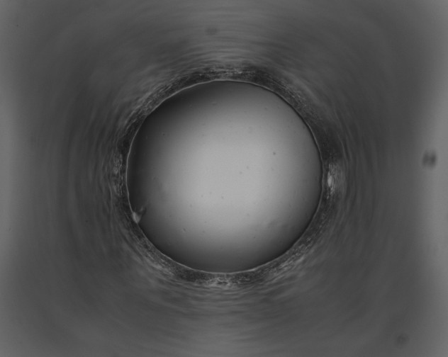 X0000091220867200708231628