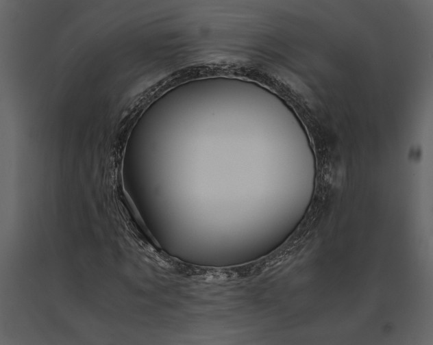 X0000091220869200708231628