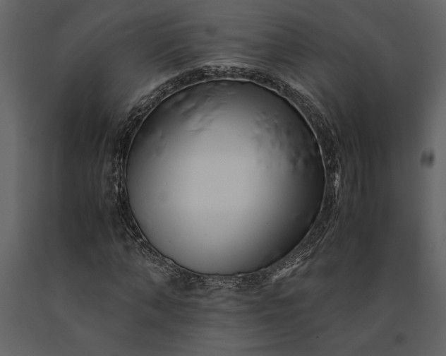 X0000091220870200708231628