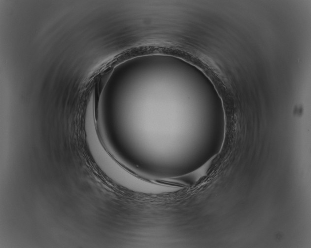 X0000091220872200708231628