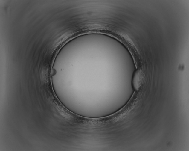 X0000091220873200708231628