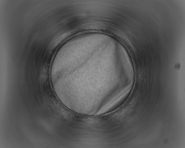 X0000091220874200708231628