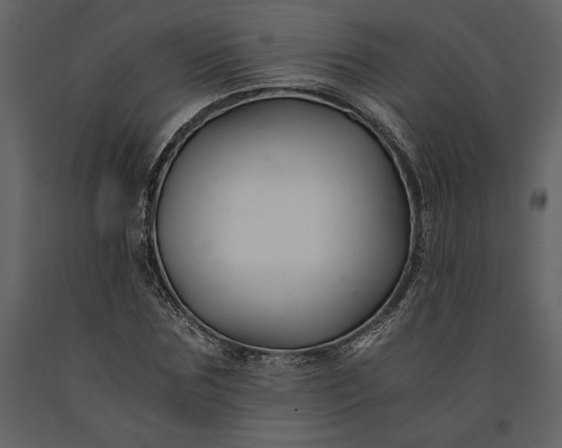 X0000091220875200708231628