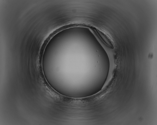 X0000091220880200708231628