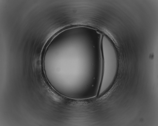 X0000091220884200708231628