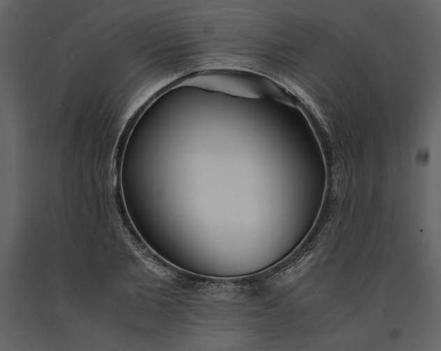 X0000091220885200708231628