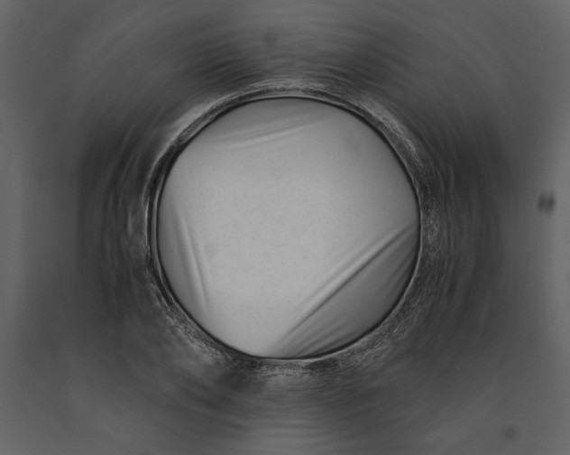 X0000091220886200708231628