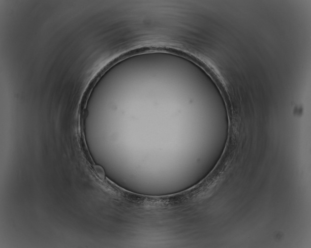 X0000091220887200708231628