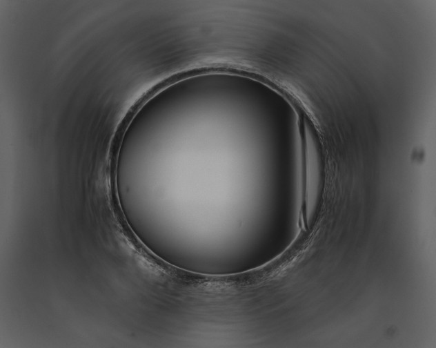 X0000091220888200708231628