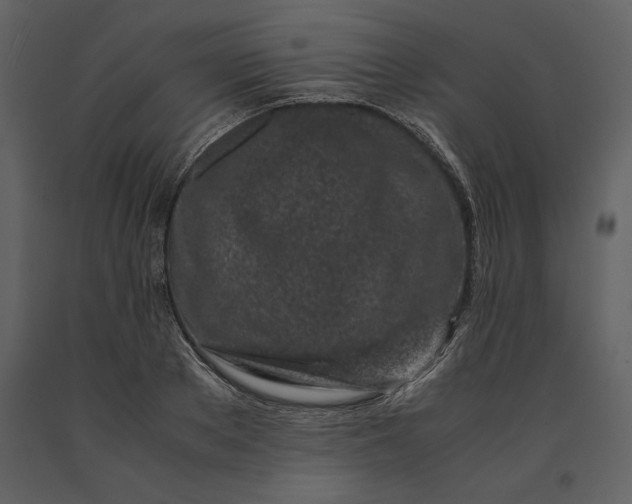 X0000091220889200708231628