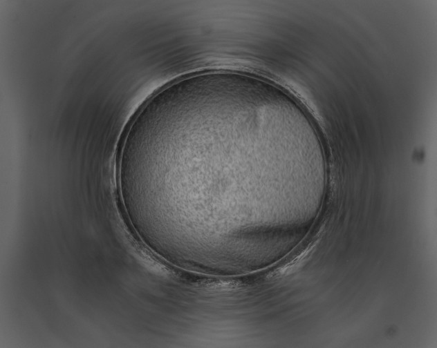 X0000091220891200708231628