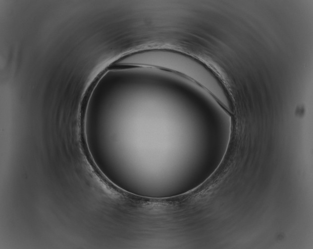 X0000091220894200708231628