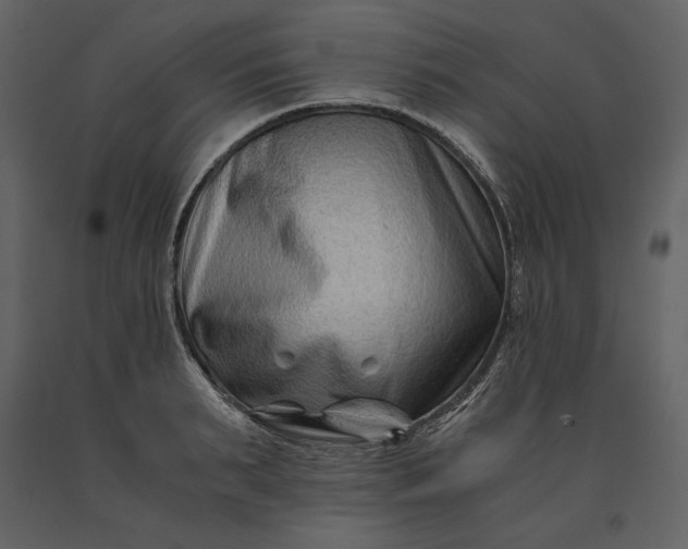 X0000091220895200708231628