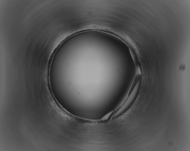 X0000091220896200708231628