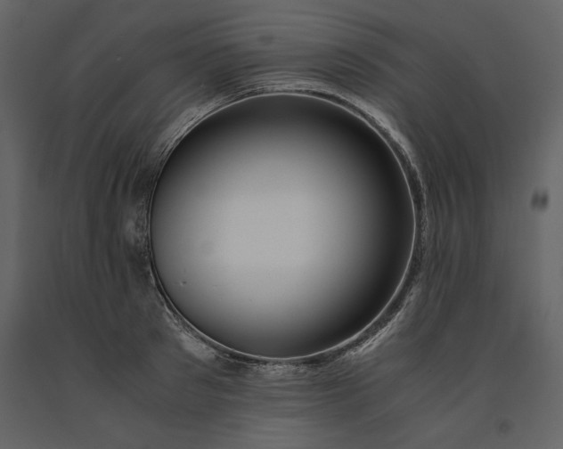 X0000091220897200708231628