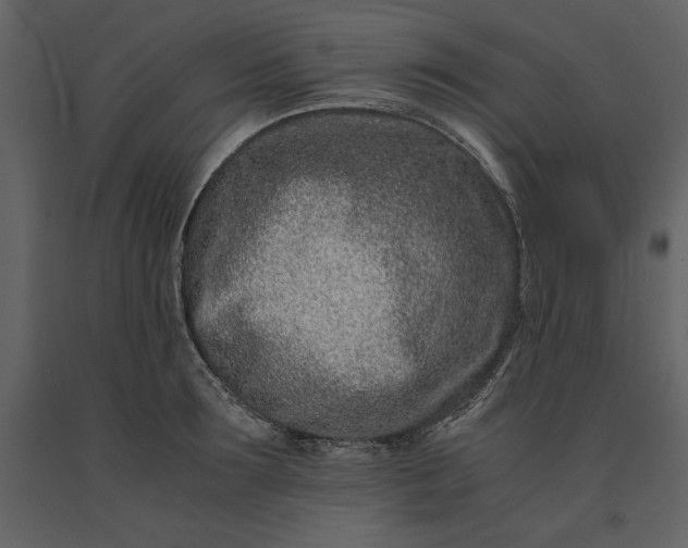 X0000091220899200708231628