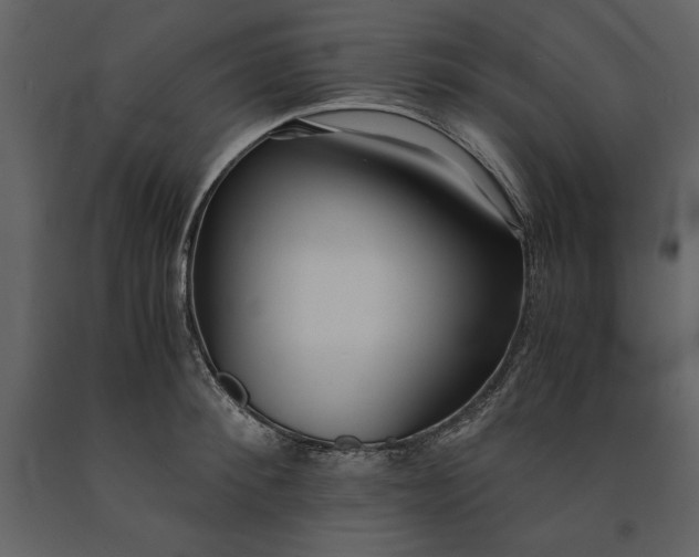 X0000091220900200708231628