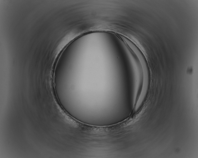 X0000091220901200708231628