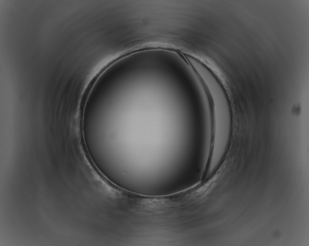 X0000091220902200708231628