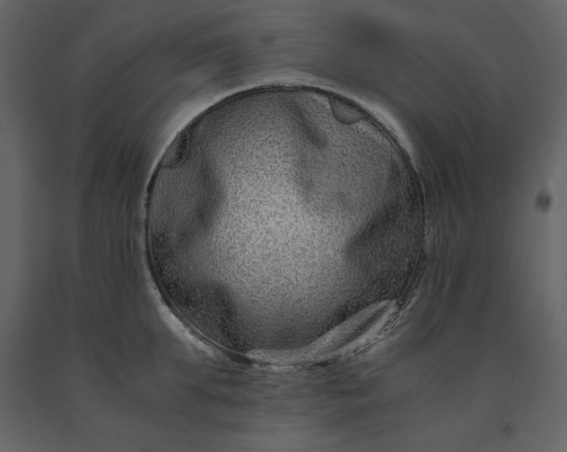 X0000091220903200708231628