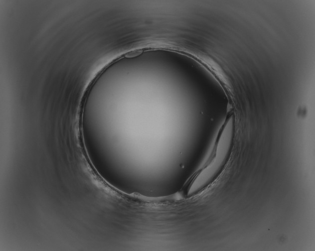 X0000091220904200708231628