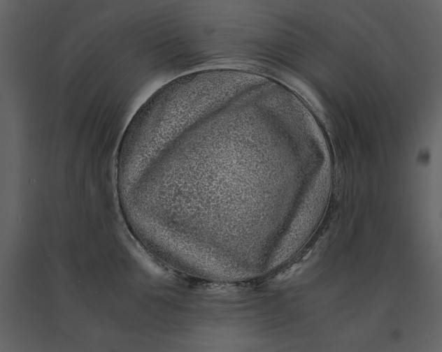 X0000091220907200708231628