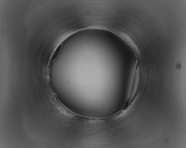 X0000091220908200708231627