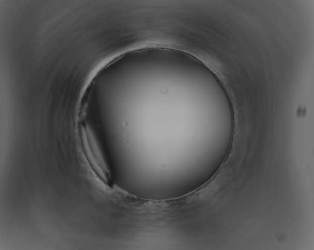 X0000091220912200708231627