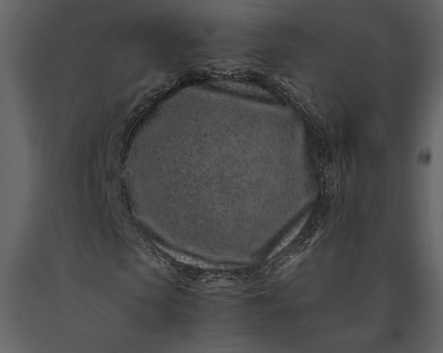 X0000091220913200708231627