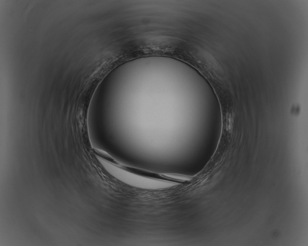 X0000091220915200708231627