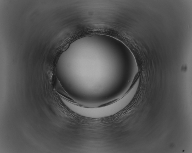 X0000091220916200708231627