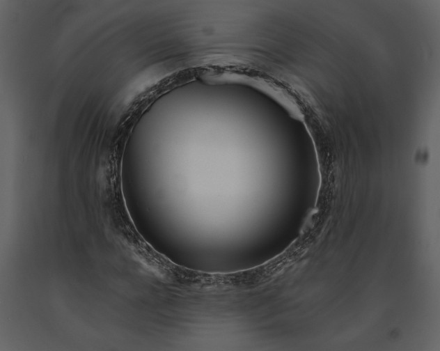 X0000091220920200708231627